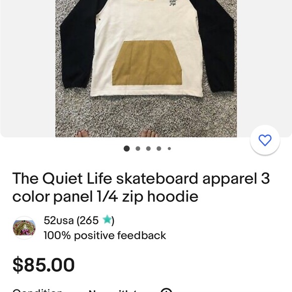 The Quiet Life skateboard apparel 3 color panel 1/4 zip hoodie - Picture 5 of 5
